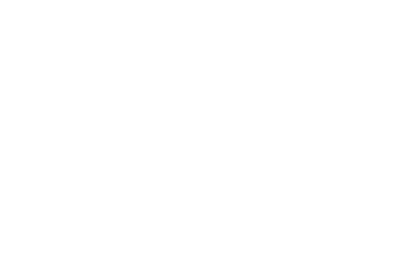 VERTIZZE (1)